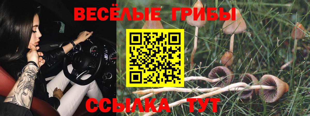 Галлюциногенные грибы Cubensis  Вход с VPN  Елец 