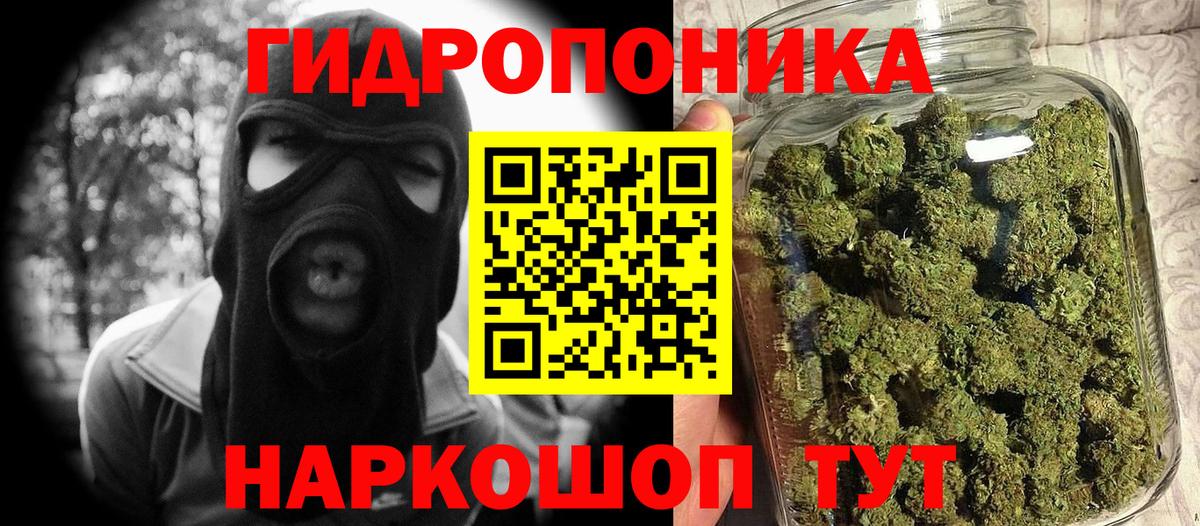 Елец  Бошки Шишки тримм  Вход с VPN  Каннабис VHQ  Канабис тримм  Шишки марихуана Bruce Banner 